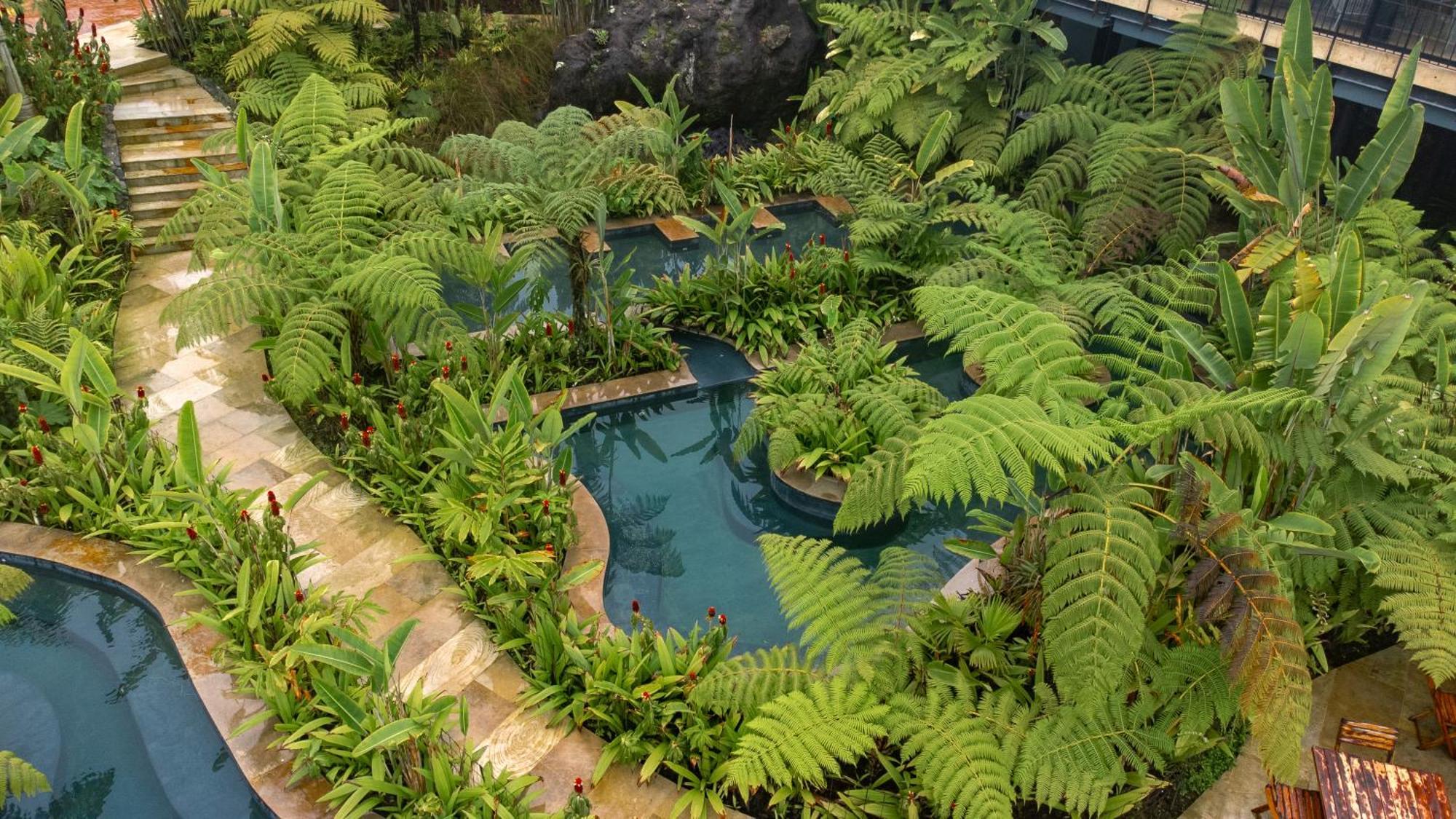 Termales El Otono Hotel Manizales Exterior photo The interior of the Rainforest biome