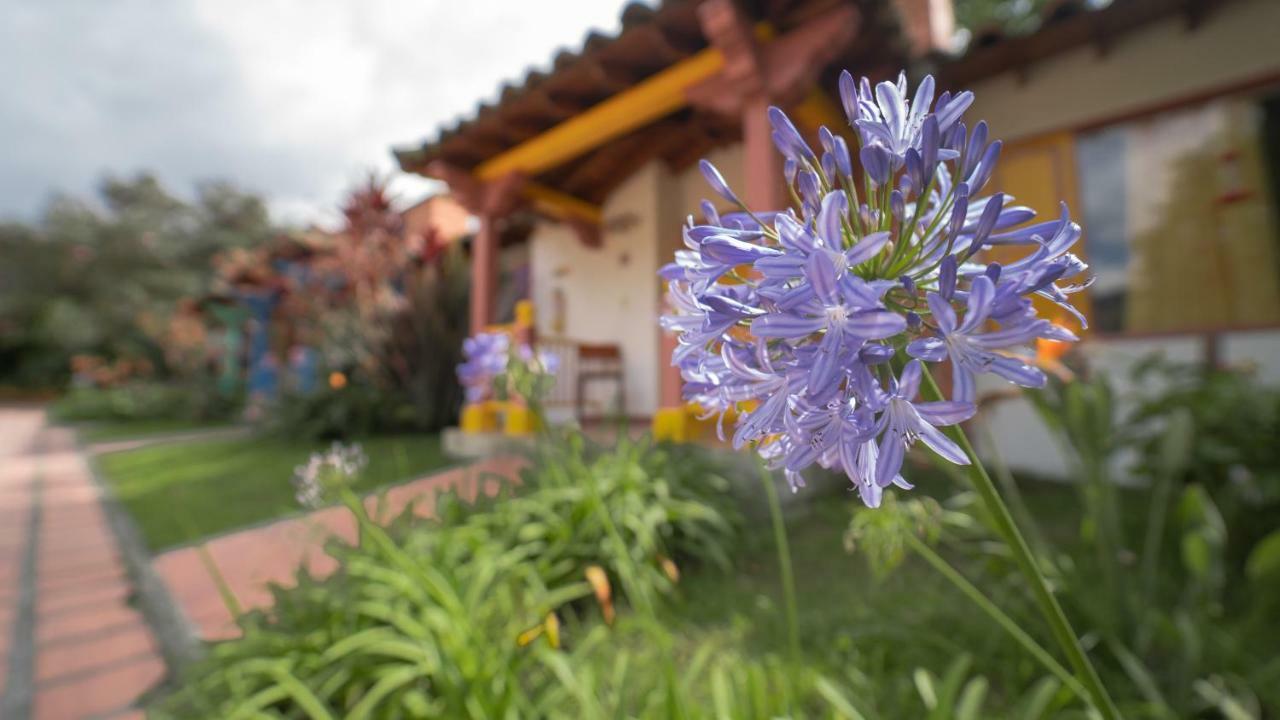 Termales El Otono Hotel Manizales Exterior photo Agapanthus africanus